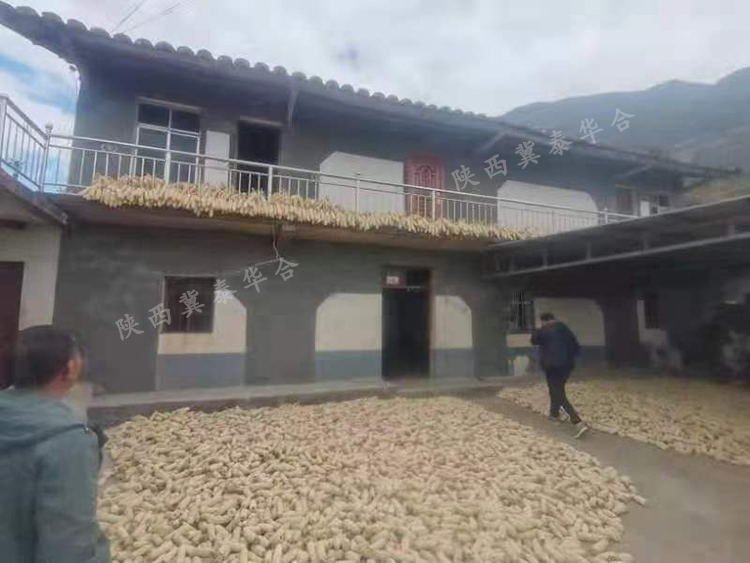 ���ɽ�r(n��ng)������ӹ��(xi��ng)Ŀ